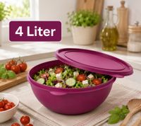 Frischhaltedosen Starter-Set mit 4 Dosen & Deckeln – 2x 4L + 2x 8L Aufbewahrungsschüsseln Peach/Lila