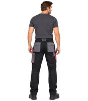 Einhell Professional Workwear Men's Thermal Work Trousers with Hammer Loop, Practical Pockets, Partially Elastic Waistband & Knee Reinforcements (Black/Grey)