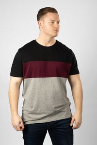 Lakeville Mountain T-Shirt for Men Anui Black Cabernet/Mid Grey Heather