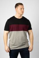 Lakeville Mountain T-Shirt for Men Anui Black Cabernet/Mid Grey Heather
