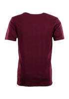 Lakeville Mountain T-Shirt for Men Kungur Cabernet