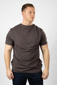 Lakeville Mountain Men's Ludo T-Shirt with Back Print and Crew Neck Grey