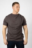 Lakeville Mountain Men's Ludo T-Shirt with Back Print and Crew Neck Grey