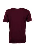 Lakeville Mountain T-Shirt for Men Paz Cabernet