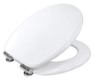 Toilet Seat with Sturdy Wood Core, Quiet Soft-Close Mechanism, Easy Installation & Chrome-Plated Zinc Alloy Hinges approx. 37.7 × 46.2cm **B-Grade – tested** White