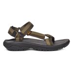 archive ladder olive