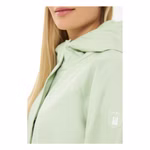 W-01-PU-Friese-Traveby-plain-fog-green-0580-040-clipped-rev-1.jpeg