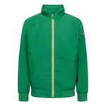 amagreen