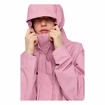 25131482-powder-rose-11-clipped-rev-1.jpeg