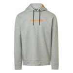 light skygrey