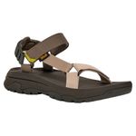 black olive multi