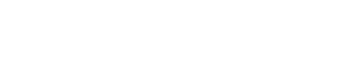 Bosch accent line