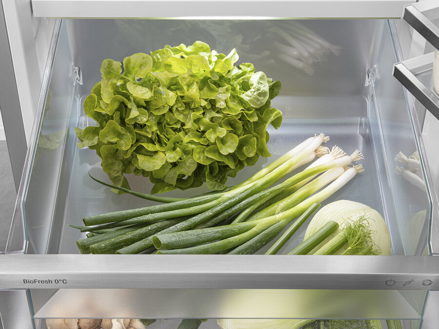 BioFresh-Schublade mit Salat, Frühlingszwiebeln und Fenchel bei hoher Luftfeuchtigkeit.