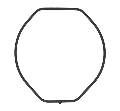 Dichtungsring schwarz Casio O-Ring BG-163 BGF-130 BGX-200 10069634
