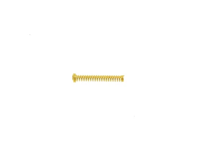 Casio Coil Spring | Alarmfeder Feder für G-Shock und Pro-Trek Modelle