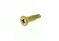46064-Casio-1-x-Schraube-9H-Edelstahl-gelbgoldfarben-GBD-H1000BAR-4_2.jpg