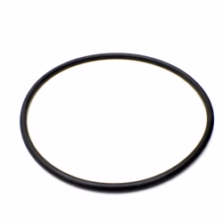 Ricambio per BMW 07119905680 O-ring 100x4mm PPE03646 Ricambio per BMW 07119905680 O-ring 100x4mm