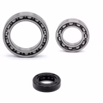 Schaltmechanimus Kugellager kompatibel mit Husaberg FE 250 FE 350 FE 350S TE 150 TE 250 TE 300 PPS01754 Kugellager für den Schaltmechanismus als Ersatzteil Set in Erstausrüsterqualität für dein Fahrzeug