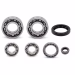 the ball bearings and oil seals in OEM quality are suitable for the maintenance of your vehicle