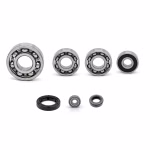 the ball bearings and oil seals in OEM quality are suitable for the maintenance of your vehicle