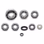 Engine case bearings and gaskets for Kawasaki Eliminator 125 PPS01883 the ball bearings and oil seals in OEM quality are suitable for the maintenance of your vehicle