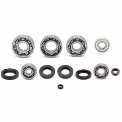 Engine case bearings and seals for Kawasaki KMX125 PPS01886 the ball bearings and oil seals in OEM quality are suitable for the maintenance of your vehicle