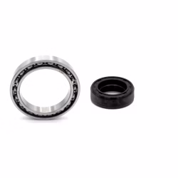 Schaltmechanimus Kugellager kompatibel mit Husaberg FE 450 FE 450E FE 550 FE 550E FE 650E FS 450 PPS01897 Kugellager für den Schaltmechanismus als Ersatzteil Set in Erstausrüsterqualität für dein Fahrzeug