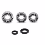 Cuscinetti e guarnizioni per carter motore per Polaris ACE 150 ACE 150 EFI ACE 150 EFI INDY PPS01989 I cuscinetti a sfera e i paraoli di qualità originale sono adatti alla manutenzione del vostro veicolo.