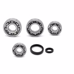 Paliers et joints de carter moteur pour BMW F 650 PPS01994 les roulements à billes et les bagues d'étanchéité de l'arbre en qualité d'origine sont adaptés à l'entretien de ton véhicule