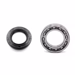 Sealed ball bearings and high quality oil seals for the engine cover as spare part set in OEM quality for your vehicle