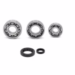Engine housing bearings and gaskets for BMW F 650 G 650 PPS02092 the ball bearings and oil seals in OEM quality are suitable for the maintenance of your vehicle