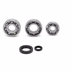 Engine housing bearings and gaskets for BMW F 650 G 650 PPS02092 the ball bearings and oil seals in OEM quality are suitable for the maintenance of your vehicle