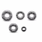 Gearbox bearing for Daelim Roadwin VJ 125 2004-05 VL125 Daystar VL125 Daystar Euro2 PPS02136 the ball bearings and oil seals in OEM quality are suitable for the maintenance of your vehicle