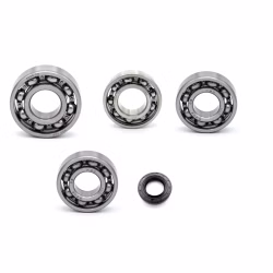 Gearbox bearing for Daelim Roadwin VJ 125 2004-05 VL125 Daystar VL125 Daystar Euro2 PPS02136 the ball bearings and oil seals in OEM quality are suitable for the maintenance of your vehicle