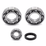 Crankshaft bearing for Crankshaft bearing for Daelim XQ 250 PPS02145 the ball bearings and oil seals in OEM quality are suitable for the maintenance of your vehicle