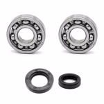 Crankshaft bearing for Crankshaft bearings for Daelim Freewing NS Otello Otello 125 DLX Otello 125 ECO PPS02156 the ball bearings and oil seals in OEM quality are suitable for the maintenance of your vehicle