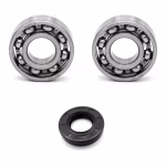 Getriebelager kompatibel mit Yamaha DT50R PPS02184 die Kugellager und Wellendichtringe in Erstausrüsterqualität eignen sich für die Wartung deines Fahrzeuges