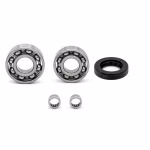 Getriebelager kompatibel mit Yamaha DT50-X-LIMIT DT50L-DT50 DT50L-DT50-X-LIMIT-SM DT50R DT50RSM PPS02186 die Kugellager und Wellendichtringe in Erstausrüsterqualität eignen sich für die Wartung deines Fahrzeuges