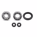 Getriebelager kompatibel mit Yamaha MT03 XT660R XT660X XT660Z XT660Z-TENERE XT660ZA PPS02202 die Kugellager und Wellendichtringe in Erstausrüsterqualität eignen sich für die Wartung deines Fahrzeuges