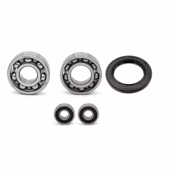 Getriebelager kompatibel mit Yamaha MT03 XT660R XT660X XT660Z XT660Z-TENERE XT660ZA PPS02202 die Kugellager und Wellendichtringe in Erstausrüsterqualität eignen sich für die Wartung deines Fahrzeuges