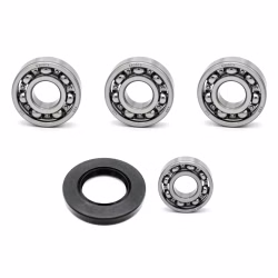 Getriebelager kompatibel mit Yamaha FZ6-N FZ6-N-FZ6 FZ6-NA FZ6-NAHG FZ6-NAHG-FZ6 FZ6-NHG FZ6-NS PPS02203 die Kugellager und Wellendichtringe in Erstausrüsterqualität eignen sich für die Wartung deines Fahrzeuges