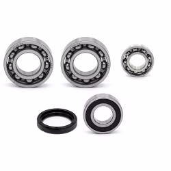 Getriebelager kompatibel mit Yamaha WR400F WR400FK WR426F WR426FN WR426FP WR450F WR450FR WR450FS PPS02227 die Kugellager und Wellendichtringe in Erstausrüsterqualität eignen sich für die Wartung deines Fahrzeuges