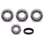 Getriebelager kompatibel mit Yamaha WR250R WR250X WR250XX PPS02241 die Kugellager und Wellendichtringe in Erstausrüsterqualität eignen sich für die Wartung deines Fahrzeuges