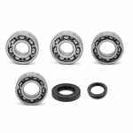 Crankshaft bearing for Crankshaft bearing for Yamaha DT125R DT125R-150PS- DT125R-214PS- DT125RE DT125X DT200R PPS02265 the ball bearings and oil seals in OEM quality are suitable for the maintenance of your vehicle