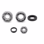 Crankshaft bearing for Crankshaft bearing for Yamaha DT125R DT125R-150PS- DT125R-214PS- DT125RE DT125X DT200R PPS02266 the ball bearings and oil seals in OEM quality are suitable for the maintenance of your vehicle