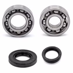 Crankshaft bearing for Crankshaft bearing for Yamaha DT175 PPS02269 the ball bearings and oil seals in OEM quality are suitable for the maintenance of your vehicle
