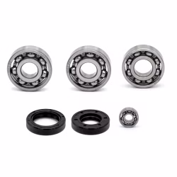 Crankshaft bearing for Crankshaft bearing for Yamaha DT50R-X-LIMIT-ENDURO DT50RSM-X-LIMIT-SM TZR50 PPS02278 the ball bearings and oil seals in OEM quality are suitable for the maintenance of your vehicle