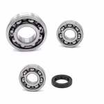 Crankshaft bearing for Crankshaft bearings for Yamaha MT03 XT660R XT660X XT660Z XT660Z-TENERE XT660ZA PPS02283 the ball bearings and oil seals in OEM quality are suitable for the maintenance of your vehicle