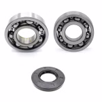Crankshaft bearing for Crankshaft bearing for Yamaha SR500 XT500 PPS02287 the ball bearings and oil seals in OEM quality are suitable for the maintenance of your vehicle