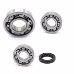 the ball bearings and oil seals in OEM quality are suitable for the maintenance of your vehicle
